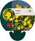 Caltha palustris