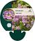 Geranium 'Sweet Heidi'