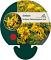 Sedum flor. 'Weihenstephaner Gold'