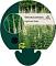 Veronicastrum virg. 'Album'