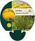 Achillea fil. 'Cloth of Gold'