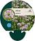 Allium senescens