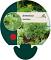 Artemisia absinthium
