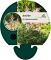 Astilbe (S) 'Hennie Graafland'