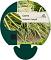 Carex oshim. 'Evergold'
