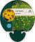 Coreopsis verticillata