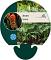 Arum italicum
