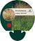 Deschampsia cesp. 'Goldschleier'