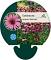 Echinacea purp. 'Rubinstern'