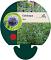 Echinops ritro