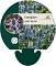 Eryngium zabelii 'Big Blue'