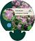 Geranium cant. 'Cambridge'
