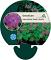 Geranium macr. 'Bevan's Variety'