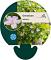 Geranium nodosum