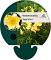 Hemerocallis 'Happy Returns'