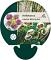 Helleborus orient. 'White Spotted'