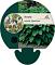 Hosta fortunei 'Hyacinthina'