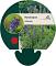 Hyssopus officinalis