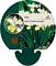 Iris sib. 'Butter and Sugar'