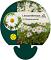 Leucanthemum (S) 'Silberprinzessche