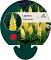 Lupinus 'Gallery Yellow'