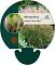 Miscanthus sin. 'Ferner Osten'