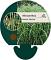 Miscanthus sin. 'Zebrinus'
