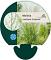 Molinia arund. 'Transparent'