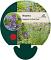 Nepeta faassenii 'Six Hills Giant'