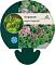 Origanum vulg. 'Compactum'