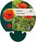Papaver or. 'Brilliant'