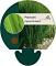 Panicum virgatum 'Northwind'