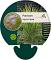 Panicum virgatum 'Squaw'