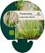 Pennisetum al. 'Gelbstiel'
