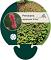 Persicaria amplex. 'JS Calor'