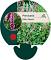Persicaria aff. 'Kabouter'