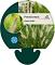 Pennisetum alopecuroides