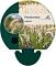Pennisetum orientale