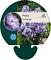Phlox (P) 'Blue Boy'