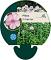 Phlox (P) 'Bright Eyes'