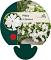 Phlox (S) 'Maischnee'