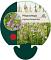 Physostegia v. 'Bouquet Rose'