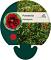 Potentilla atrosanguinea