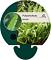 Polystichum munitum