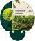 Polystichum polyblepharum