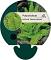 Polystichum set. 'Plumoso-densum'