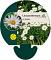 Leucanthemum (S) 'Alaska'