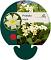 Primula vulgaris