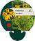 Rudbeckia fulgida deamii
