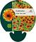 Rudbeckia triloba 'Prairie Glow'